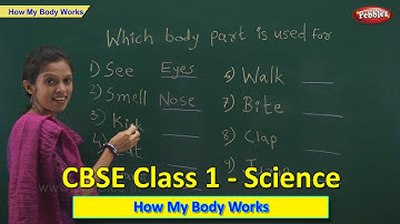 How My Body Works | Class 1 CBSE Science | Science Syllabus Live Videos | Video Training