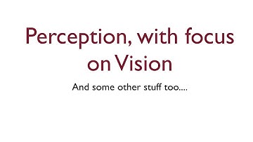 Introduction to Cognitive Science for Undergraduates, Lecture 11