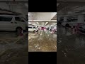 香港黑雨 8號風球 2025 7 8 月 大集合 回憶