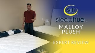 serta malloy plush