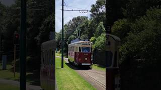 Free Tram ride in Western Springs Auckland 🇳🇿 #newzealand