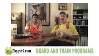Dog Board And Train Programs, In-Board Dog And Puppy Training At Taggs K9 In Las Vegas Nevada