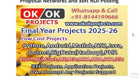 Weakly Supervised Object Detection in Chest X Rays With Differentiable ROI Proposal Networks and Sof