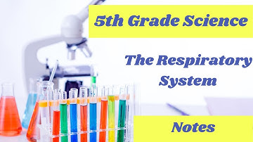The Respiratory System // free 5th grade science online lesson
