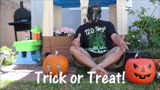 Trick or Treat