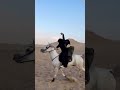 caballos#youtubeshorts #horse #viral #mexico #rancheras #caballos #regionalmexicano #pueblosvivos