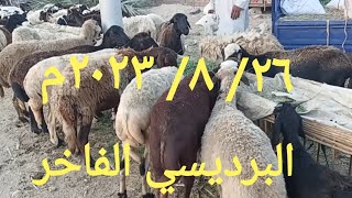 اسعار الاغنام والماعز بسوق السبت اليوم ٢٦/ ٨/ ٢٠٢٣م