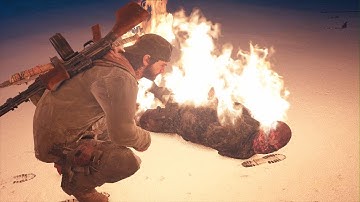 DAYS GONE burning alive npc bug