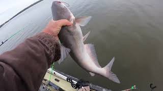 Catfishing the Catawba on a Cold November Day.