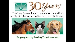 寵物2 食道胃管   Esophagostomy Feeding Tube
