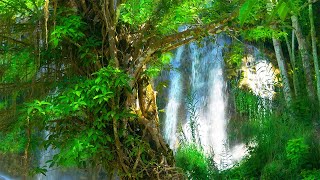 Instant Stress Relief: Relaxing Music and Nature Sounds for Immediate Relaxation