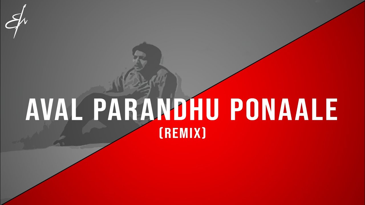 Aval Parandhu Ponaale   RM Sathiq  Remix  jazz