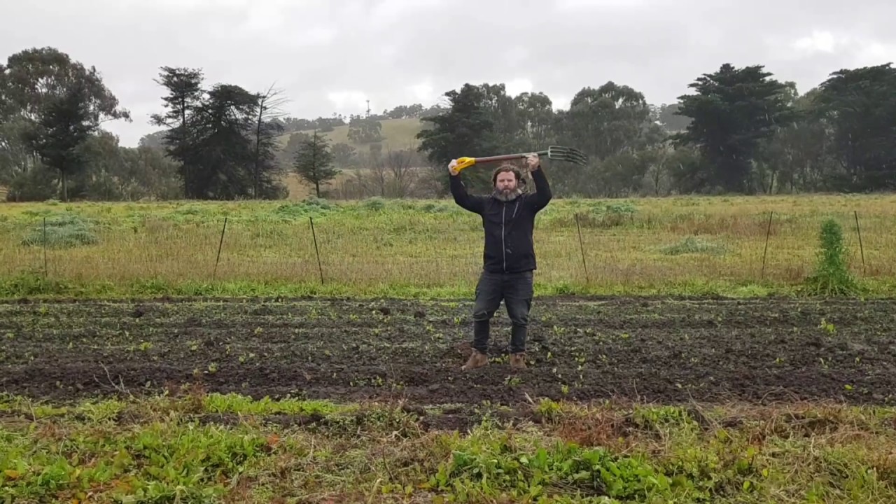 FARMER DOES RAIN DANCE - Brings all the veggies to the yard