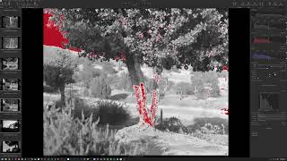 Famous C1 Convert Negative - Full Potential (B&W) Wealth