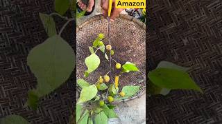 May 21, 2026#agrico #cuttingtools #agriculture #woodworking #workhard #cuttingskills #ytshorts