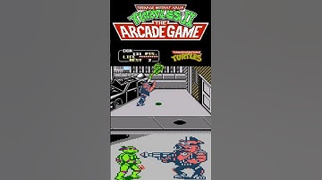 Donatello VS Bebop (TMNT II: The Arcade Game)