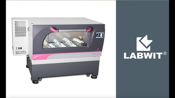 Ultimate-Cell Stackable Shaking Incubator - ZWYC-290A from Labwit