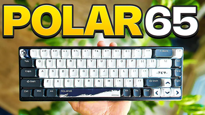 BETTER than the WOOTING? - Polar65 Review (Rapid Trigger Keyboard)