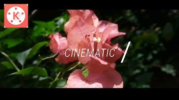 How To Make Sam Kolder Intro with kinemaster