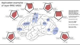 Renzo Huber: Layer-fMRI with CBV