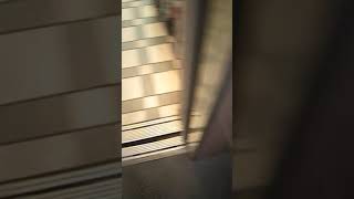 8 Chrome Hearts Nbg Neo Blood Guy