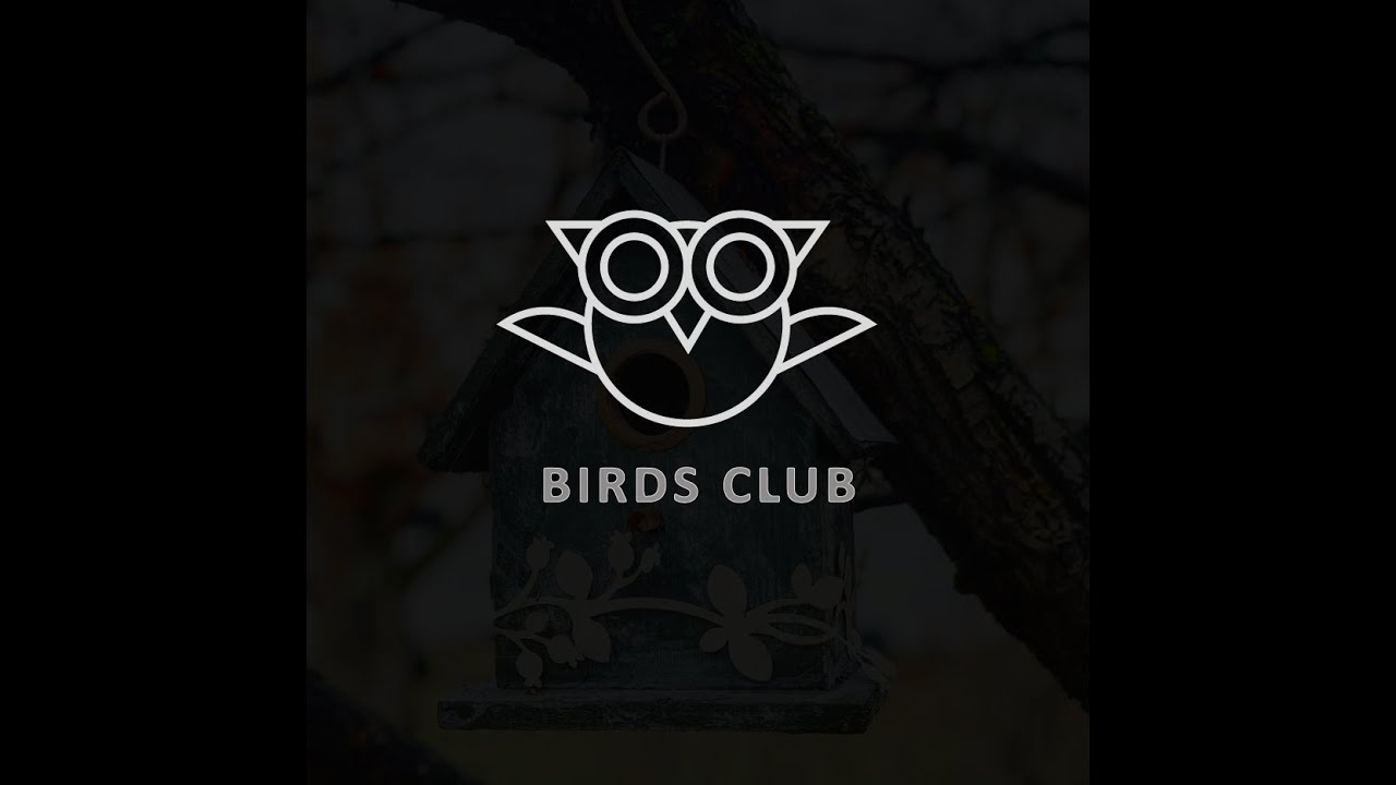 Minimal Logo Design on Adobe Illustrator