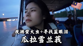 【环马+泰南摩旅 Ep.04】马来西亚瓜拉雪兰莪Kuala Selangor, 夜游萤火虫+寻找蓝眼泪