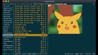 How to use TMUX session in our pentest work | Kali linux | What is TMUX | TMUX
