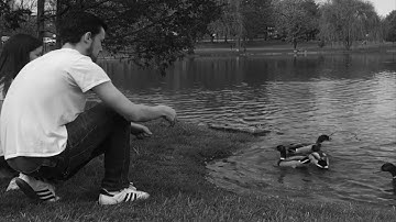 Memories - KSHMR and BASSJACKERS ft SIRAH (unofficial music video)