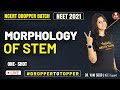 Morphology of Stem Part-2 | Botany Module | NCERT Topper Batch 2021 | Vedantu Biotonic for NEET