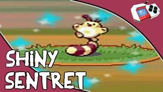 [LIVE] Shiny Sentret and Furret after a 40 and 41 Pokeradar Chain!!
