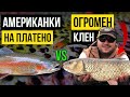 СЕЧ на ПЪСТЪРВИ и ОГРОМЕН кефал на платена локва!