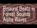 Binaural Beats Alpha Waves for Relaxing,stress relief / ストレス解消　リラックス　バイノーラルビート　アルファ波