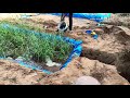 Reed Bed Technology for Sewage Water Treatment