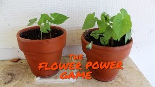 DIY FLOWER POWER GAME