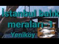 Balk meralar1 yenikystanbul balk av meralar