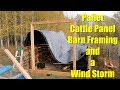 Framing the Pallet Cattle Panel Barn (until the wind ruined it)
