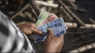 Ethiopia Floats Its Currency: What to Expect with Getachew T. Alemu