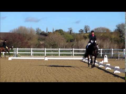 Team Quest Championships 2014 Novice 27 Gemma & Bramble (Yahooligans ...