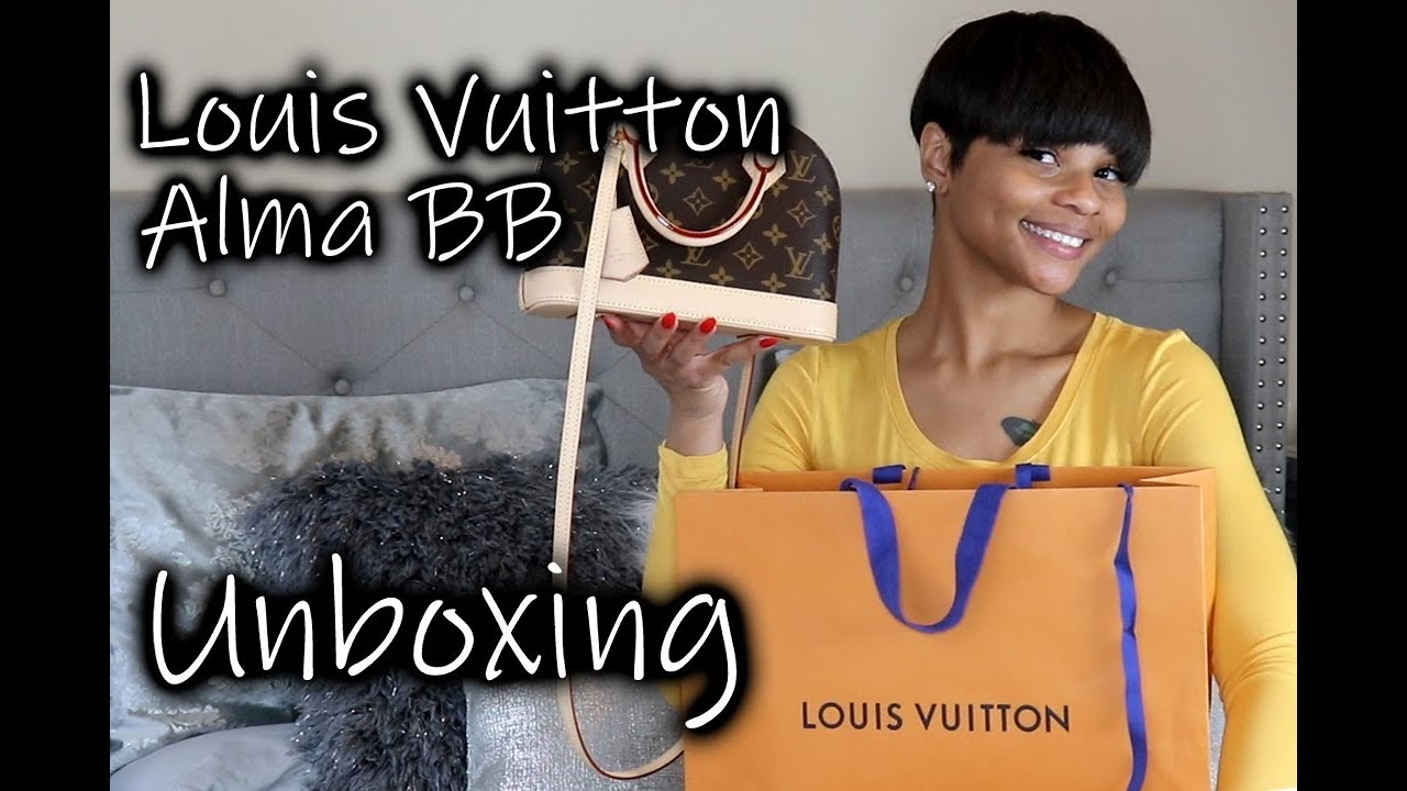 Louis Vuitton Croisette (Damier Ebene) Unboxing, Reveal, and