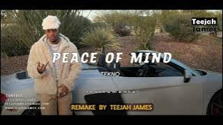 Tekno - Peace of Mind (Instrumental) | Afrobeat type beat