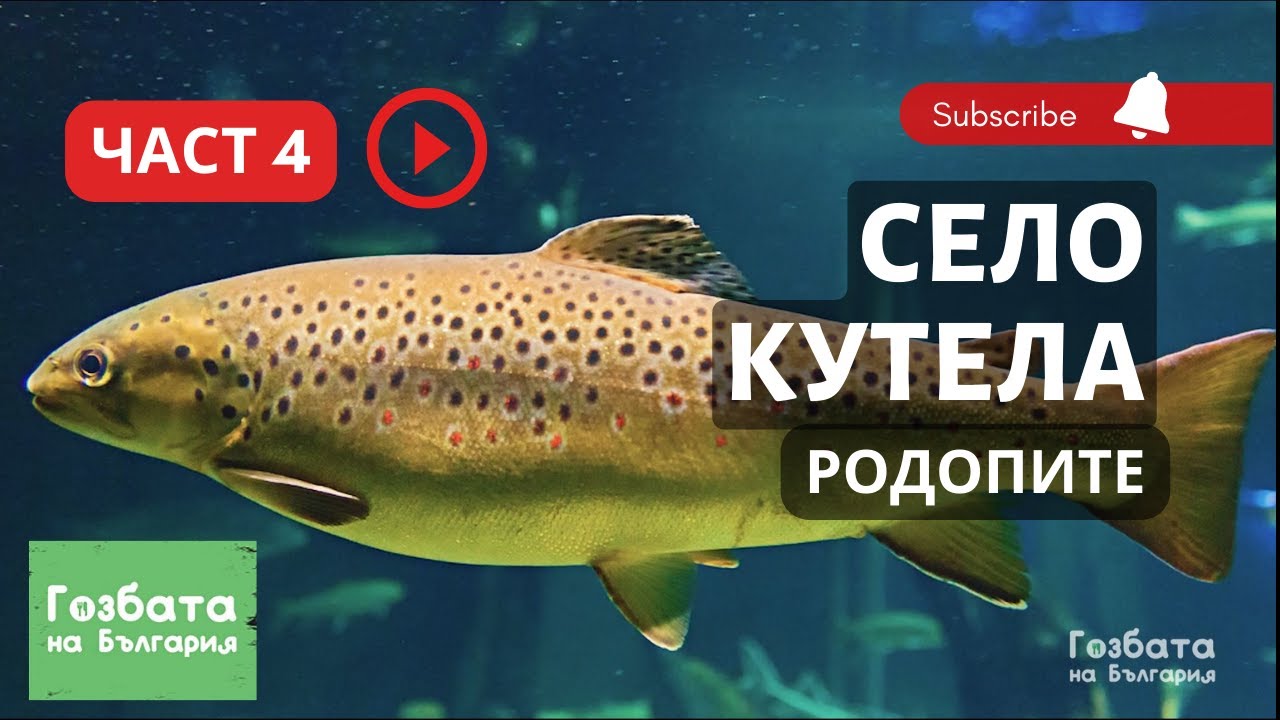 Село Кутела Част 4 - На Риболов за Пъстърва в Родопите [] Гозбата на България