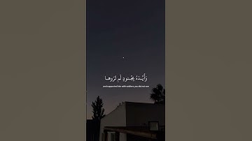 سورة التوبة || #قرآن_كريم #عبدالرحمن_مسعد #راحة_نفسية #quran #explore #اكسبلور #subscribe #quran