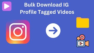 How to bulk download Instagram profile tagged videos? screenshot 5