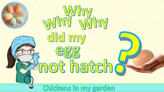 Why did the chick not hatch? You can do an eggtopsy and find out  I show you what you might see.