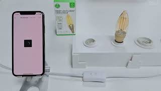 R5141 Smart E14 C37 Filament LED Bulb connection video screenshot 4