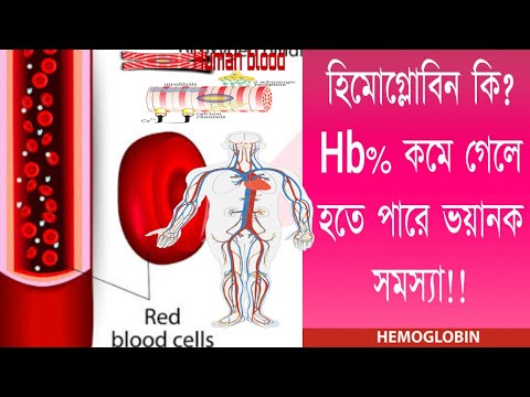 হিমোগ্লোবিন কি? হিমোগ্লোবিনের অভাবে হতে পারে যেই ভয়ানক সমস্যা। What is haemoglobin?