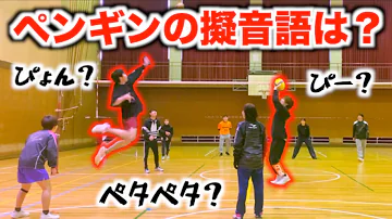 ビィーキュウバレー