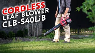 Worcraft Cordless Leaf Blower Clb-S40Lib