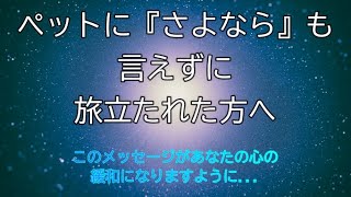 ペットを突然亡くされた方の辛いお気持ちの緩和になったら…と願いを込めて、私の親友に起きた猫のお話をシェアさせてください。